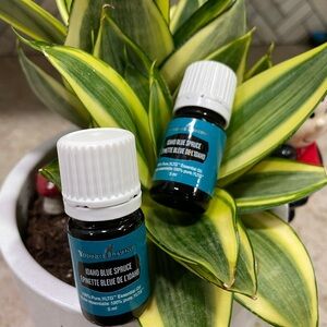 Young Living Idaho Blue Spruce Essential Oil